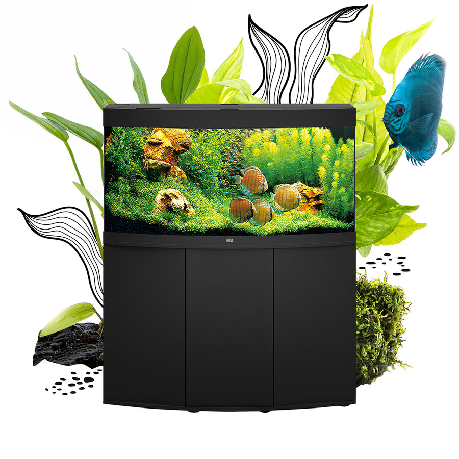 Afname Symptomen Ophef Vision 180 LED | JUWEL Aquarium