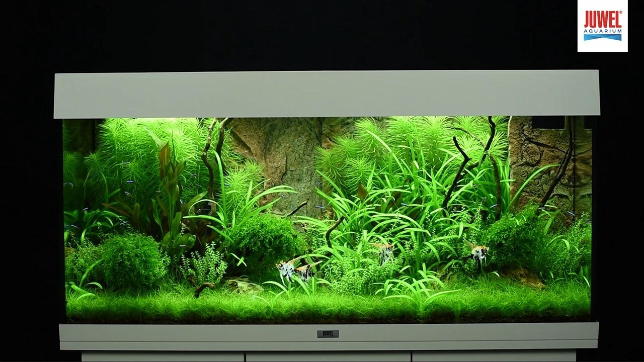 Juwel Aquarium Rio 180 LED Chêne Clair - 339.95€