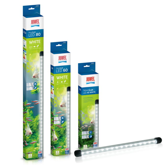 Primo 110 LED JUWEL Aquarium