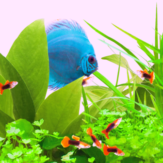 Juwel fish tank light hotsell