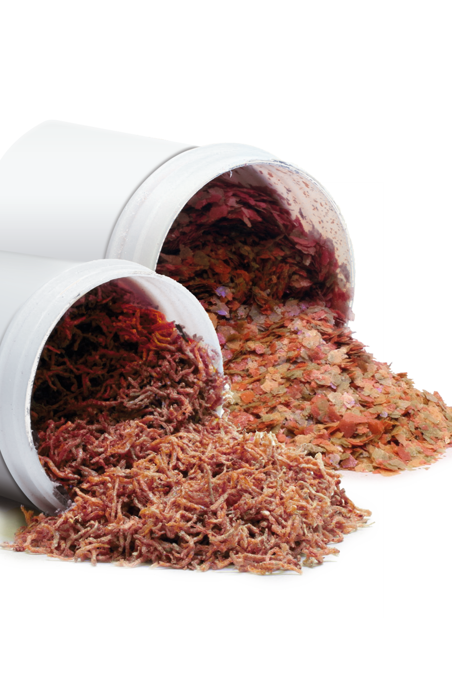 EasyFeed JUWEL Aquarium