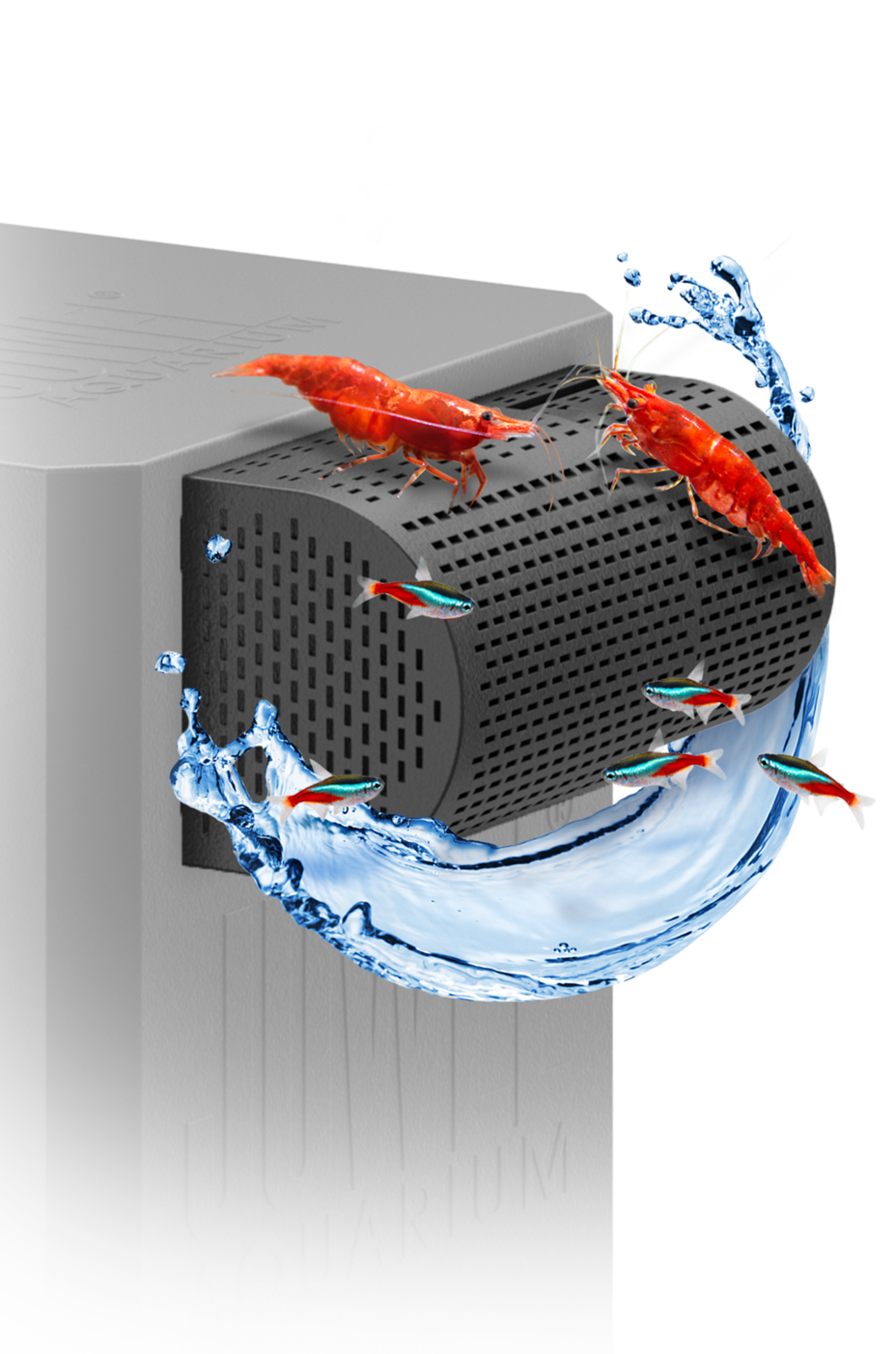 FilterGrid JUWEL Aquarium