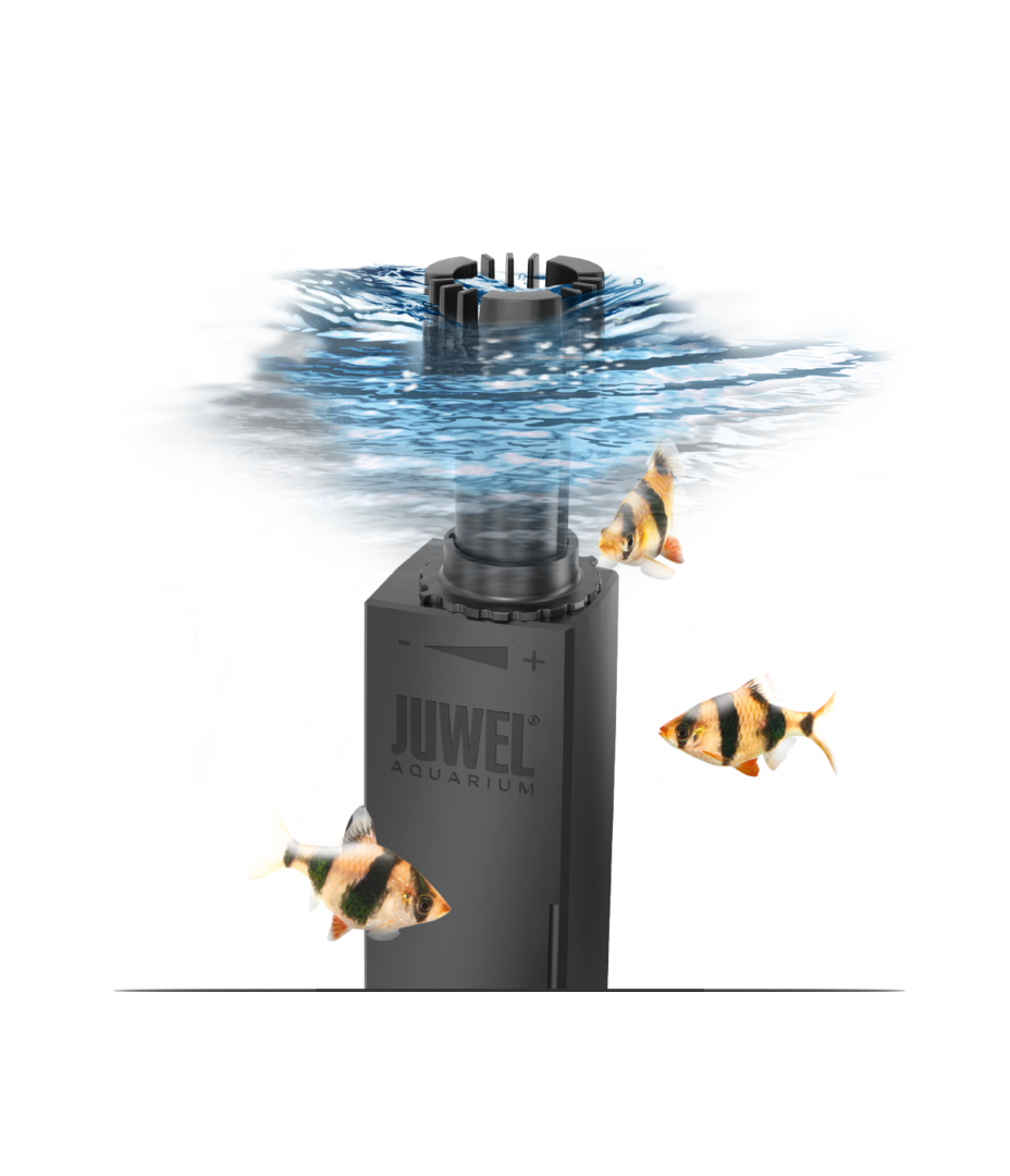 EccoSkim JUWEL Aquarium