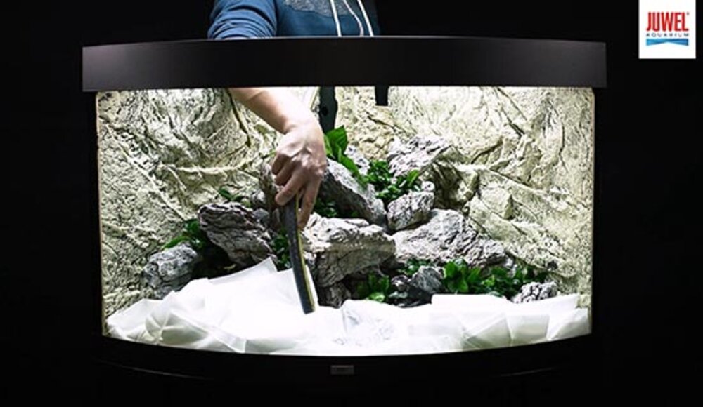 setup4 JUWEL Aquarium