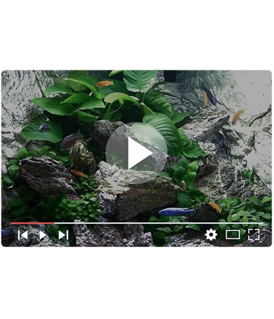 setup4 JUWEL Aquarium