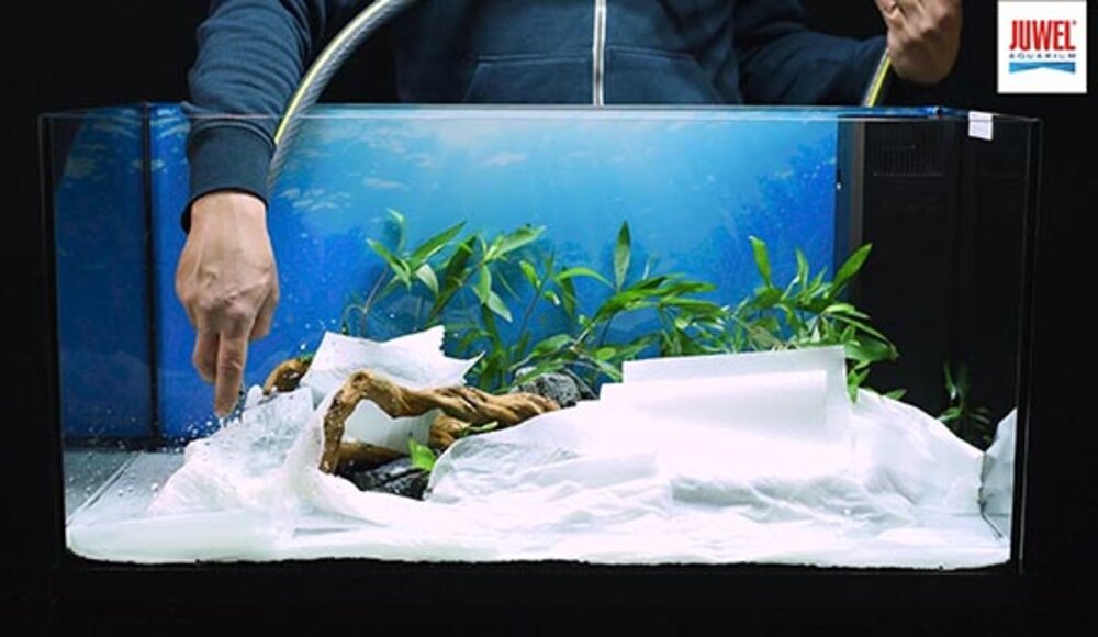 setup7 JUWEL Aquarium