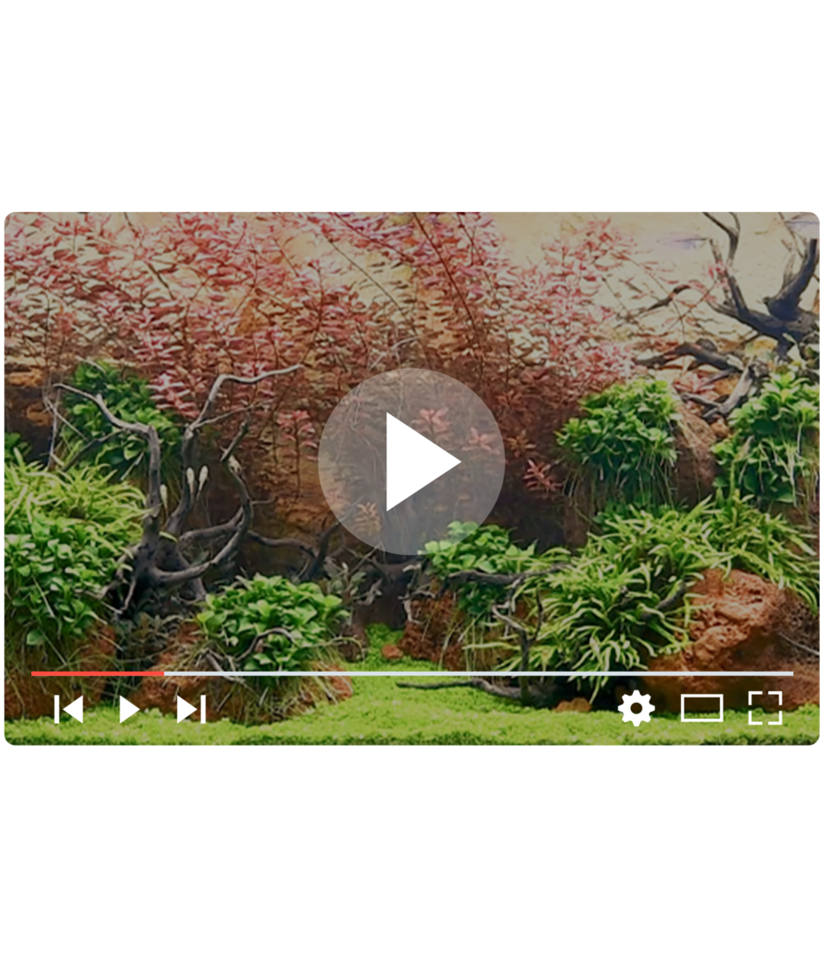 setup8 JUWEL Aquarium