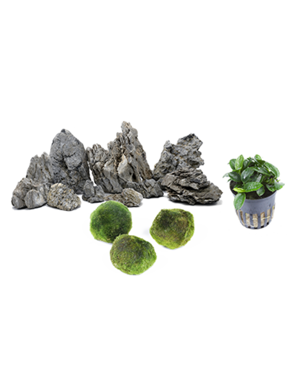 setup9 JUWEL Aquarium